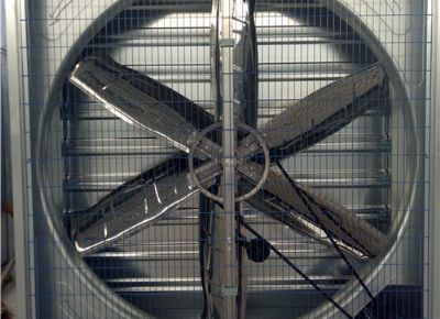 點擊查看詳細信息<br>標題：Heavy Hammer Type Animal Husbandry Fan 閱讀次數：1574